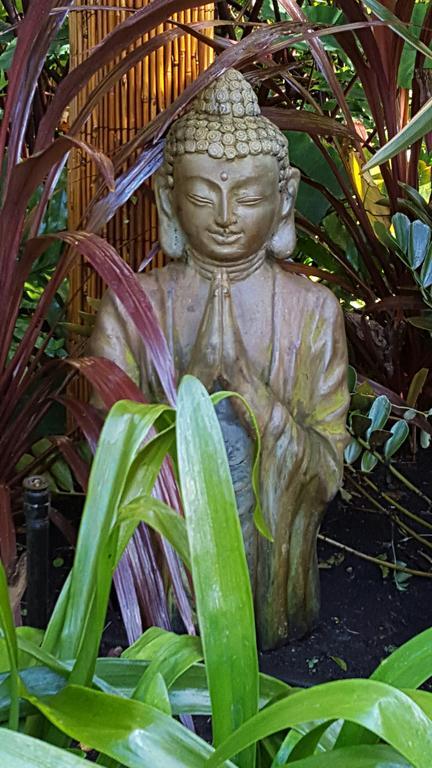 Albany Bali Style Accommodation Exteriör bild