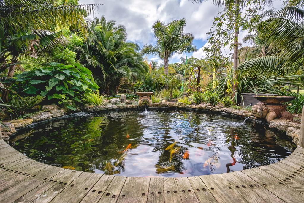 Albany Bali Style Accommodation Rum bild
