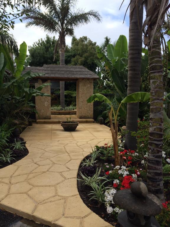 Albany Bali Style Accommodation Exteriör bild