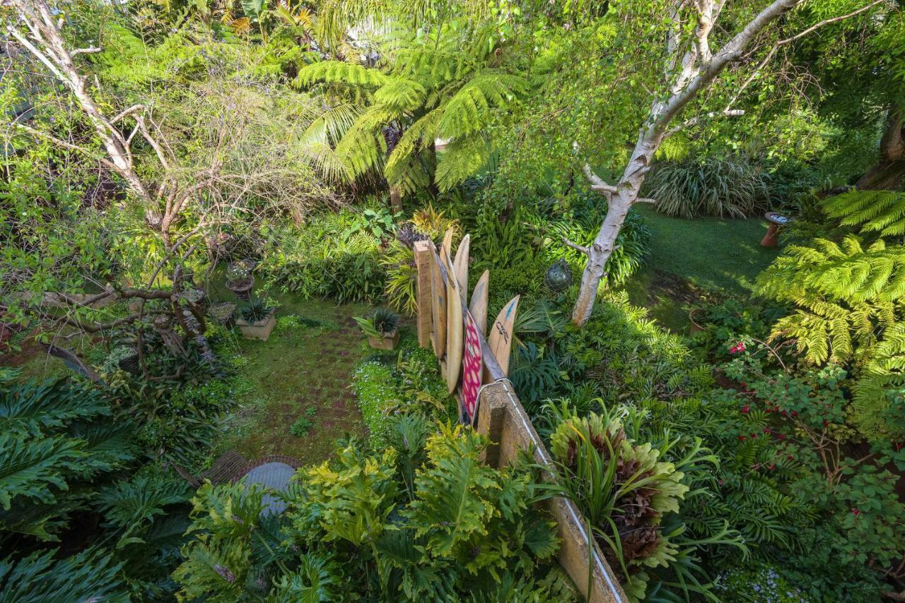 Albany Bali Style Accommodation Exteriör bild